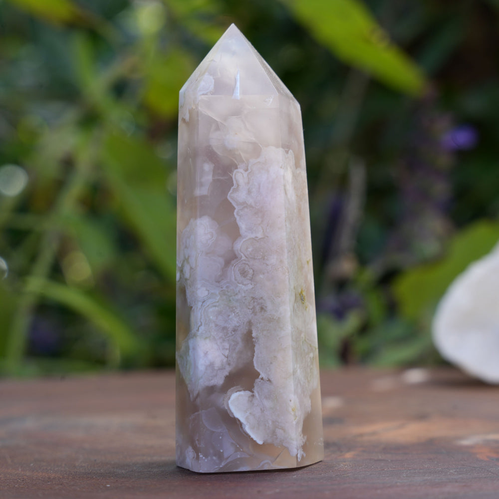 
                  
                    Flower Agate Points | Reiki Infused
                  
                