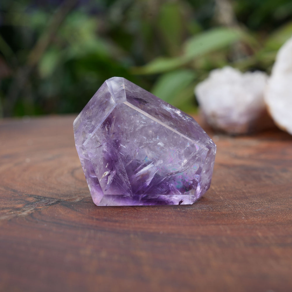 
                  
                    Phantom Amethyst Freeform | Reiki Infused
                  
                