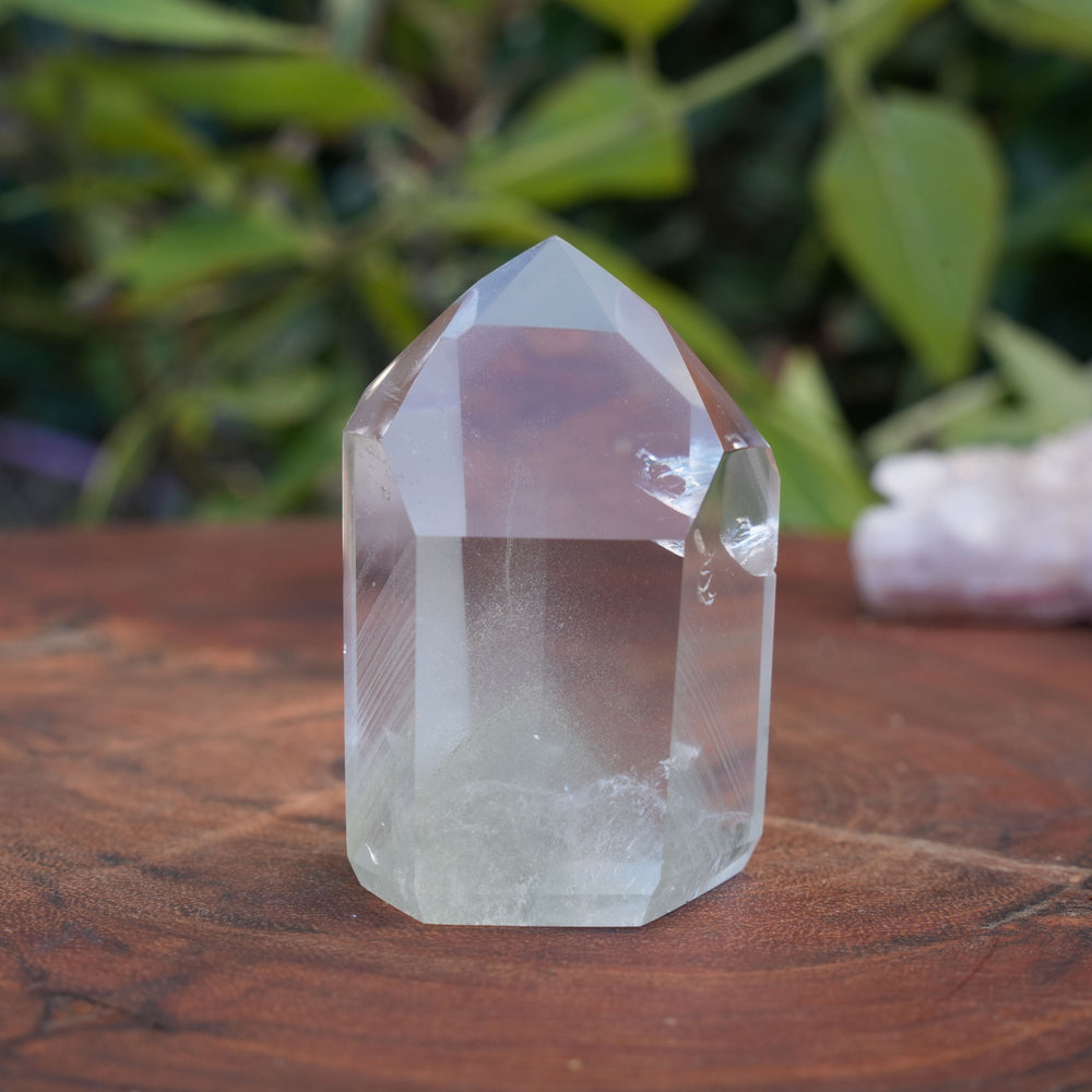 
                  
                    Medium Green Garden Quartz Points | High Grade | Reiki Infused
                  
                