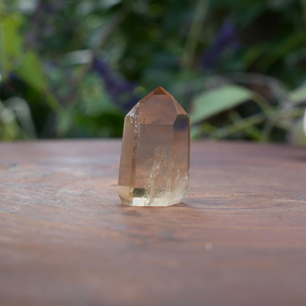
                  
                    Mini AAA Grade Natural Citrine Towers | Reiki Infused
                  
                
