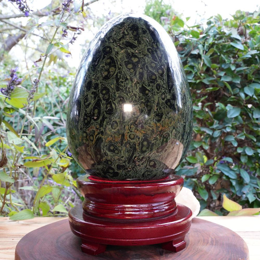 
                  
                    Giant Kambaba Jasper Egg | Reiki Infused
                  
                
