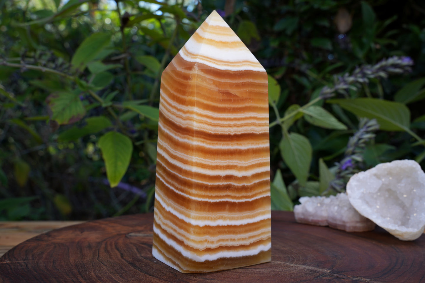 Large Yellow Calcite Towers | Reiki Infused