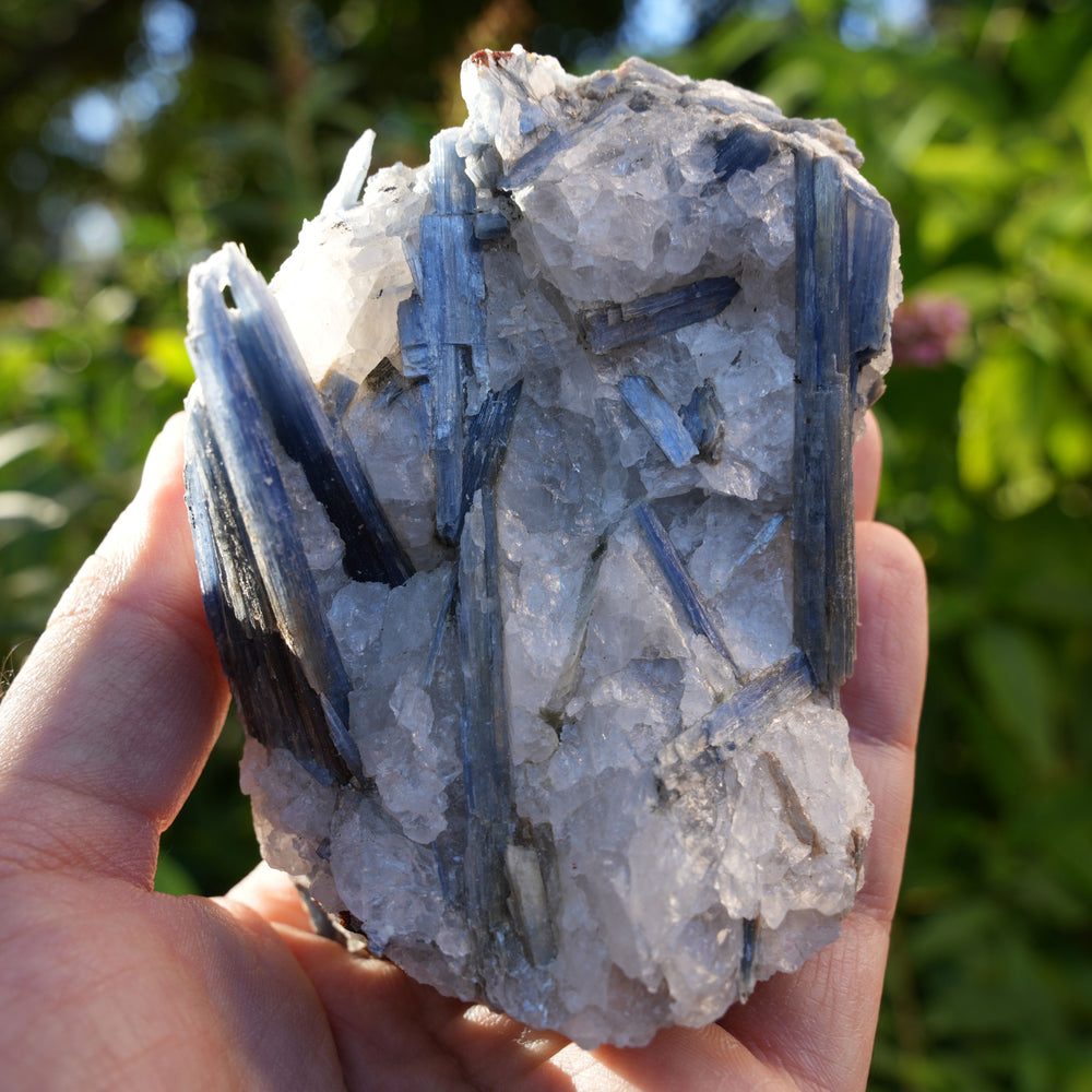 Raw Kyanite in Quartz | High Grade | Reiki Infused