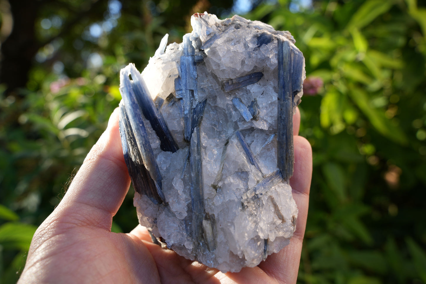 Raw Kyanite in Quartz | High Grade | Reiki Infused