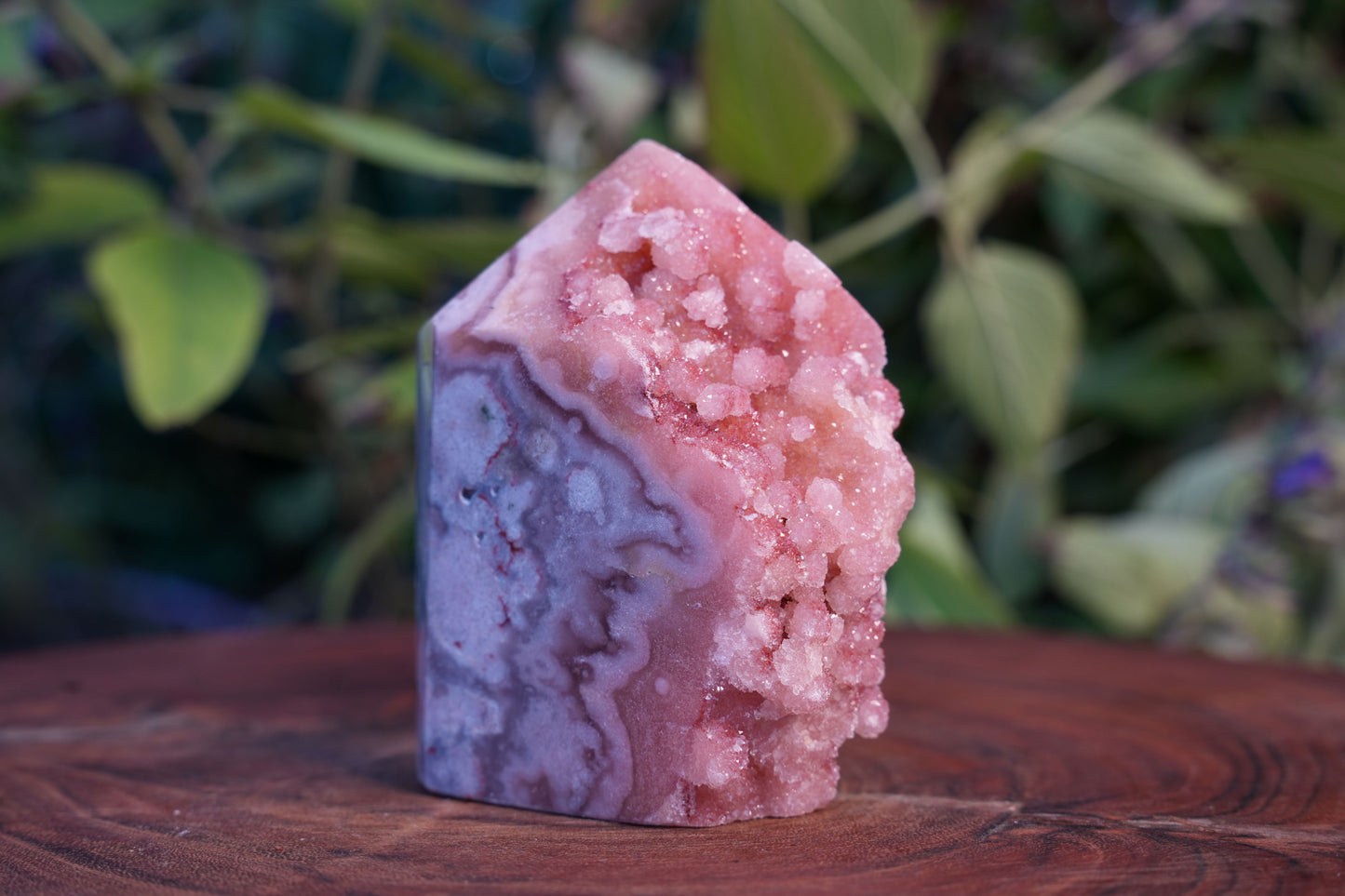 High Grade Sugar Druzy Pink Amethyst Tower | Reiki Infused