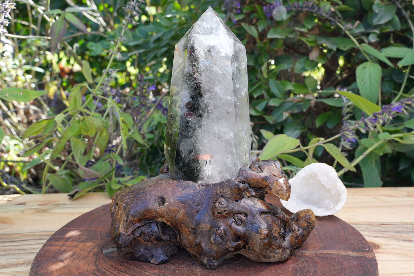 Garden Quartz on Wooden Stand | Reiki Infused