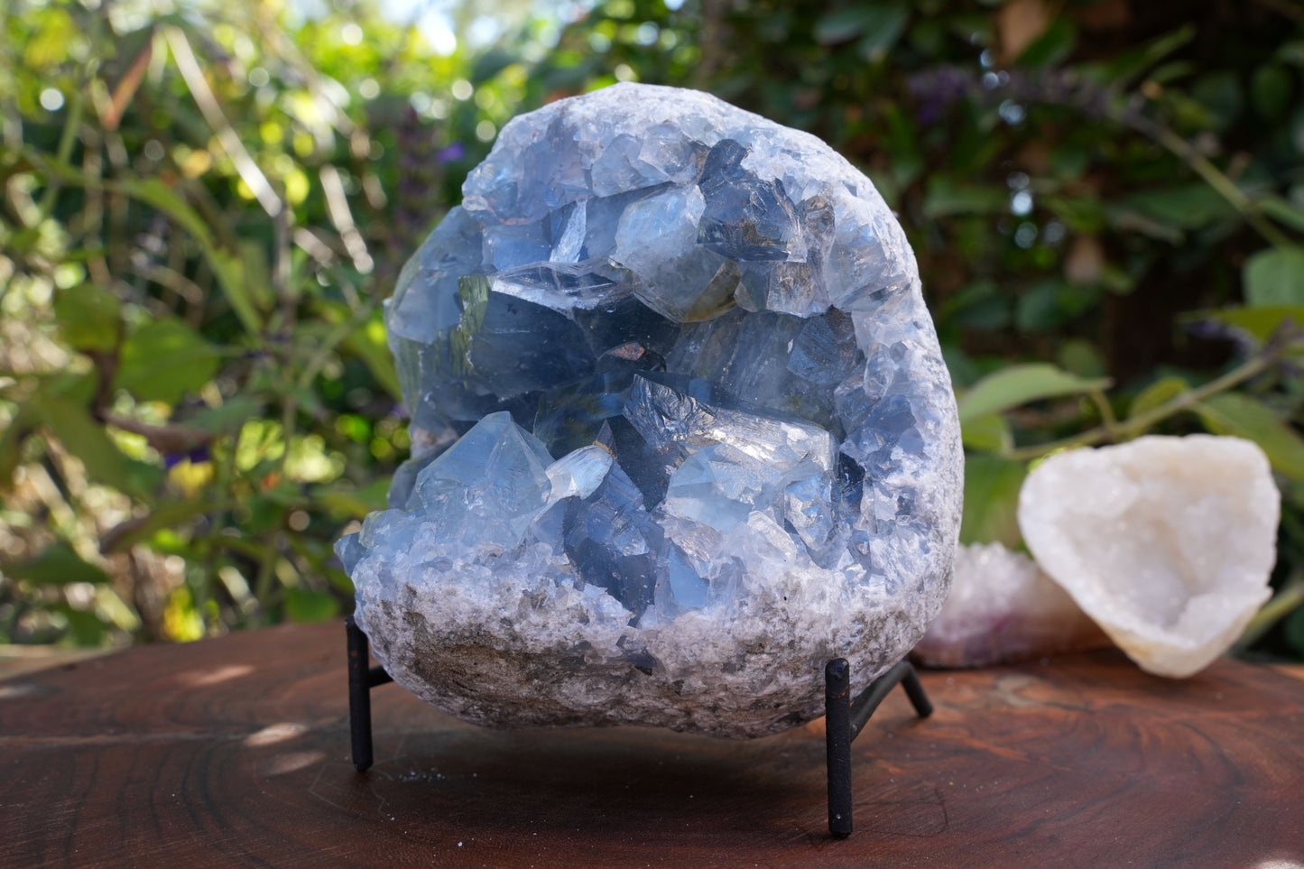 High Quality Celestite Clusters | Reiki Infused