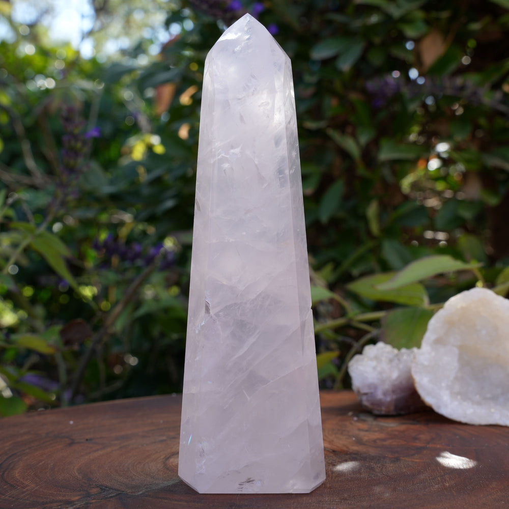 High Grade Rose Quartz Girasol Towers | Reiki Infused