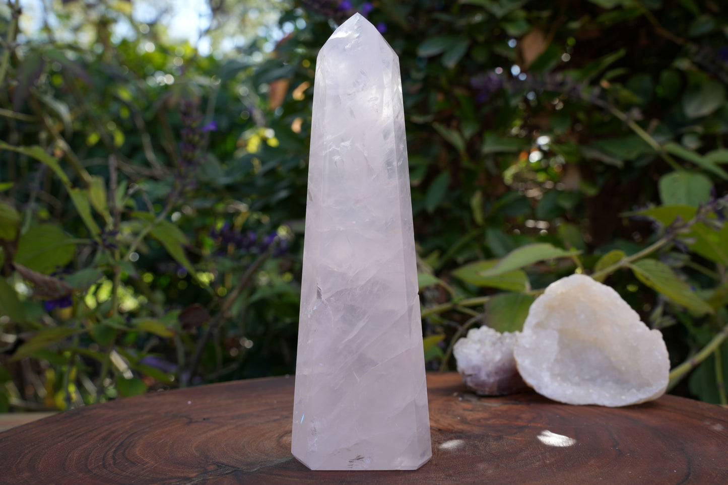 High Grade Rose Quartz Girasol Towers | Reiki Infused