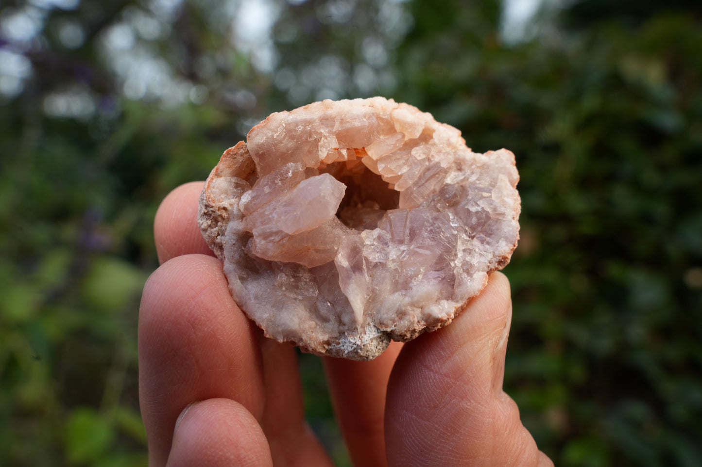 Small Pink Amethyst Clusters | Reiki Infused