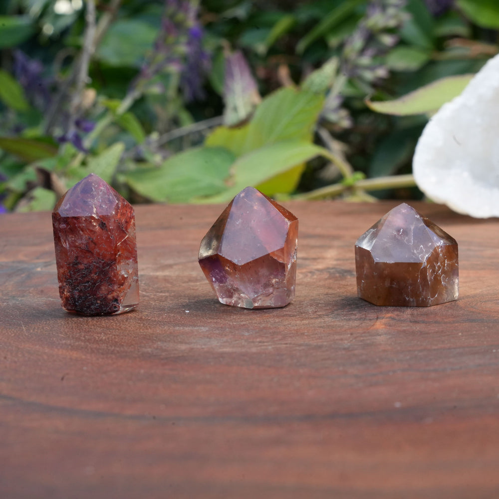 Mini Lots of 3 Dream Coat Lemurian Towers| Reiki Infused