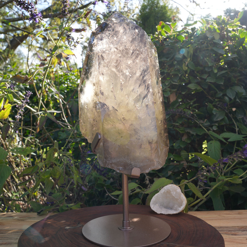 Giant Smoky Natural Citrine Generator | On Rose Gold Stand | Reiki Infused
