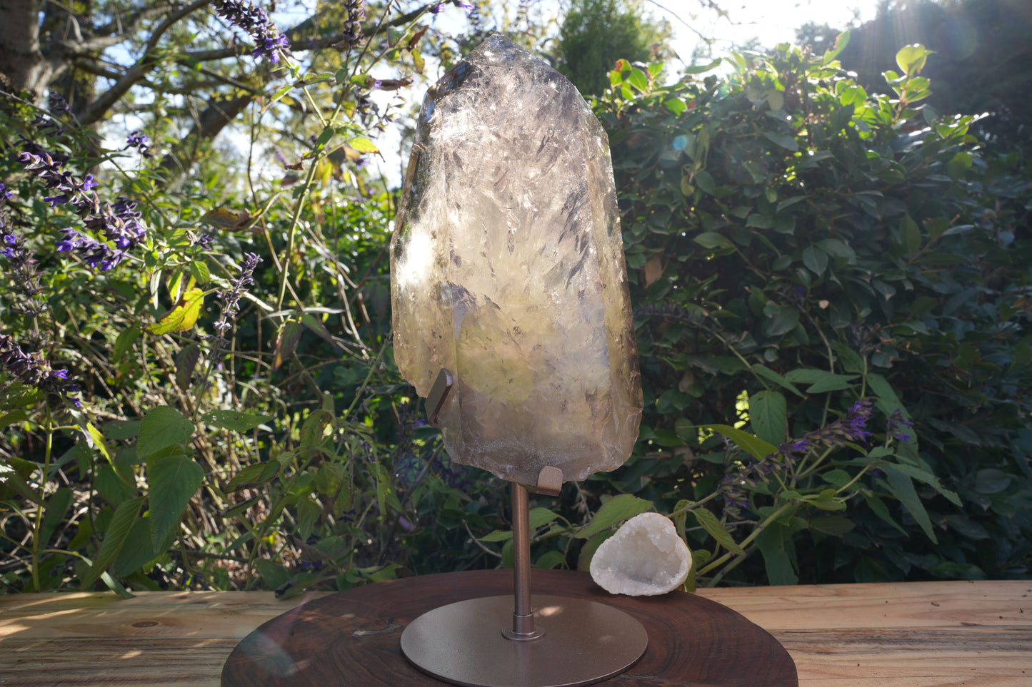 Giant Smoky Natural Citrine Generator | On Rose Gold Stand | Reiki Infused