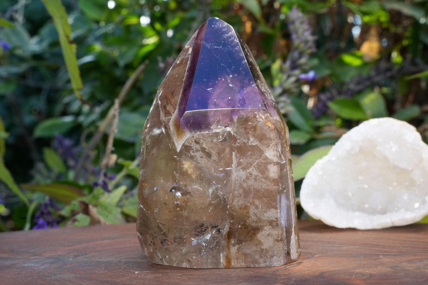 Medium Dream Coat Lemurian Freeforms | Reiki Infused