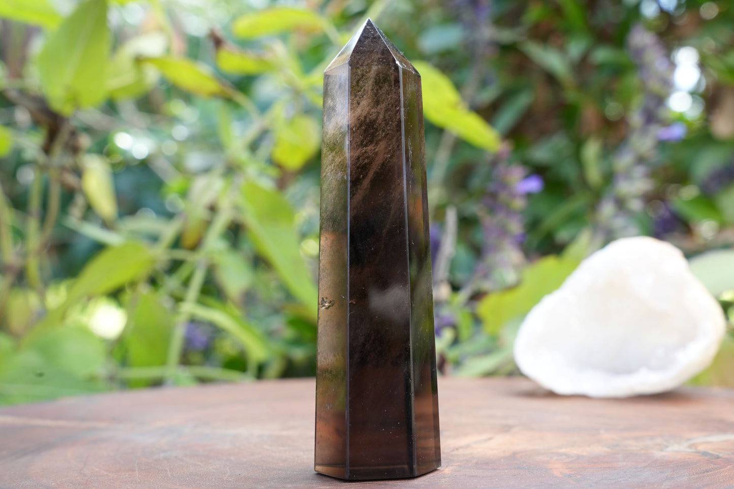 Smoky Quartz Points | Reiki Infused