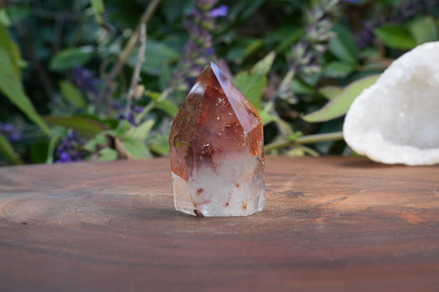Small Dream Coat Lemurian Freeforms | Reiki Infused