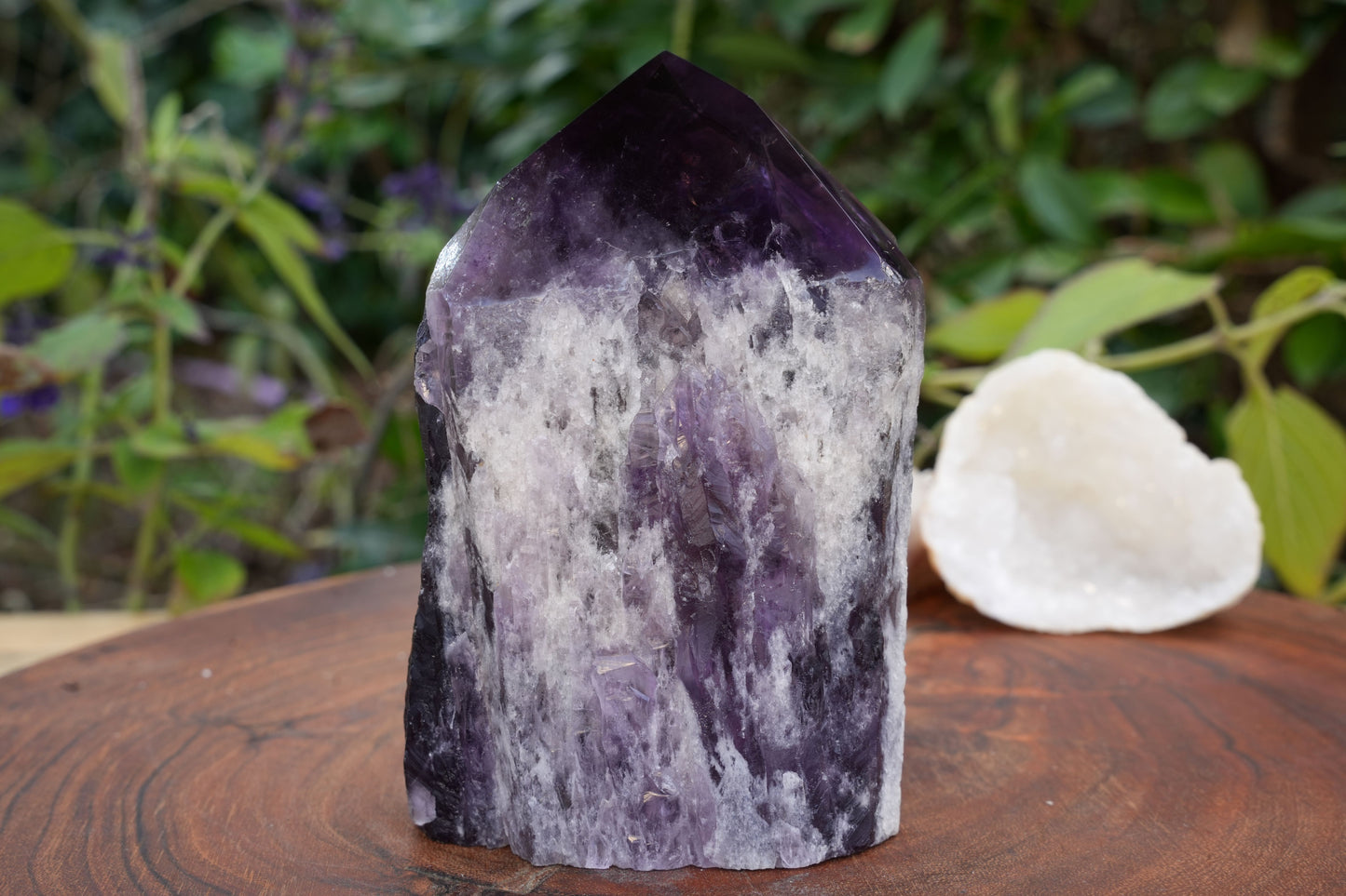 Large High Quality Amethyst Cut Base | Reiki Infused