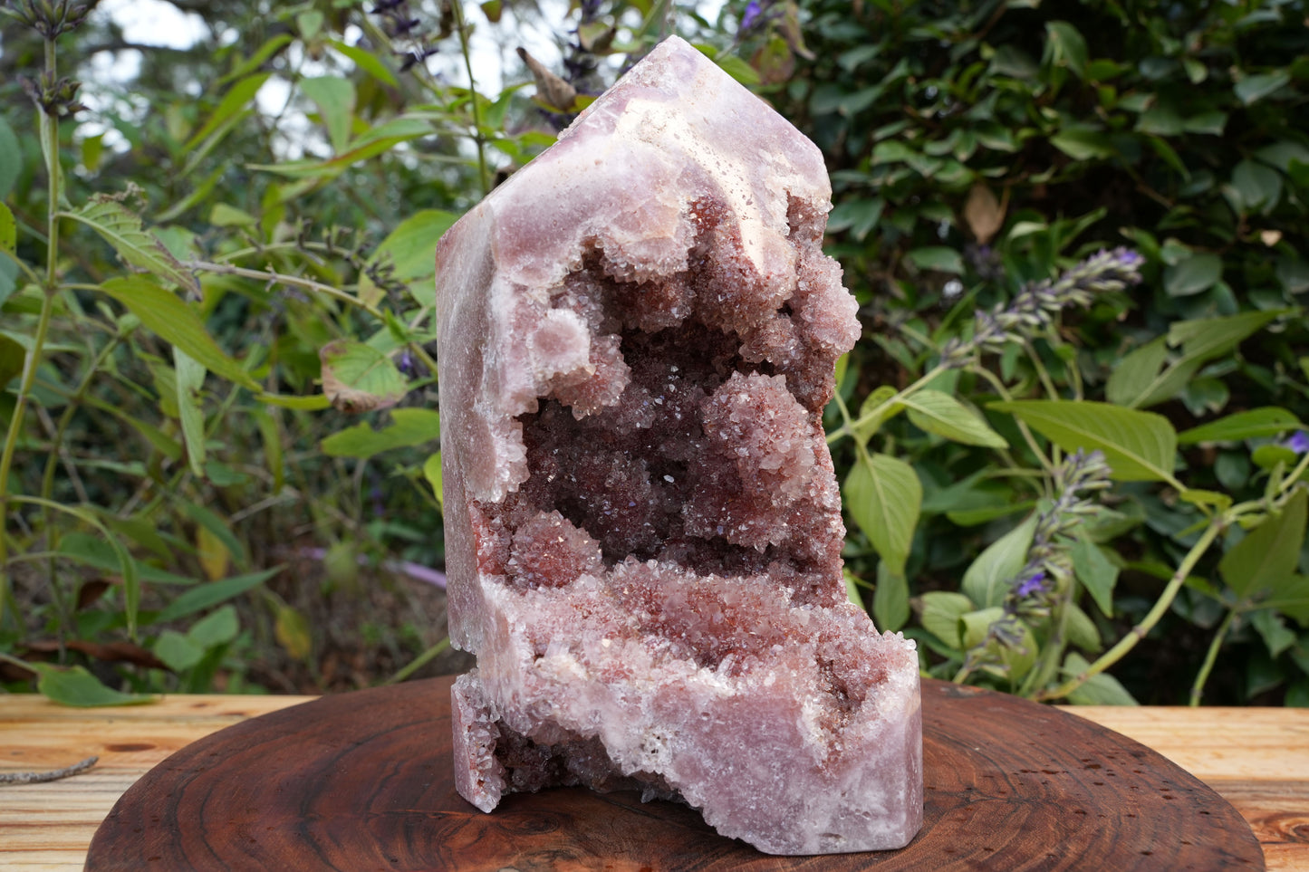 AAA Large Grade Druzy Pink Amethyst Tower | Reiki Infused