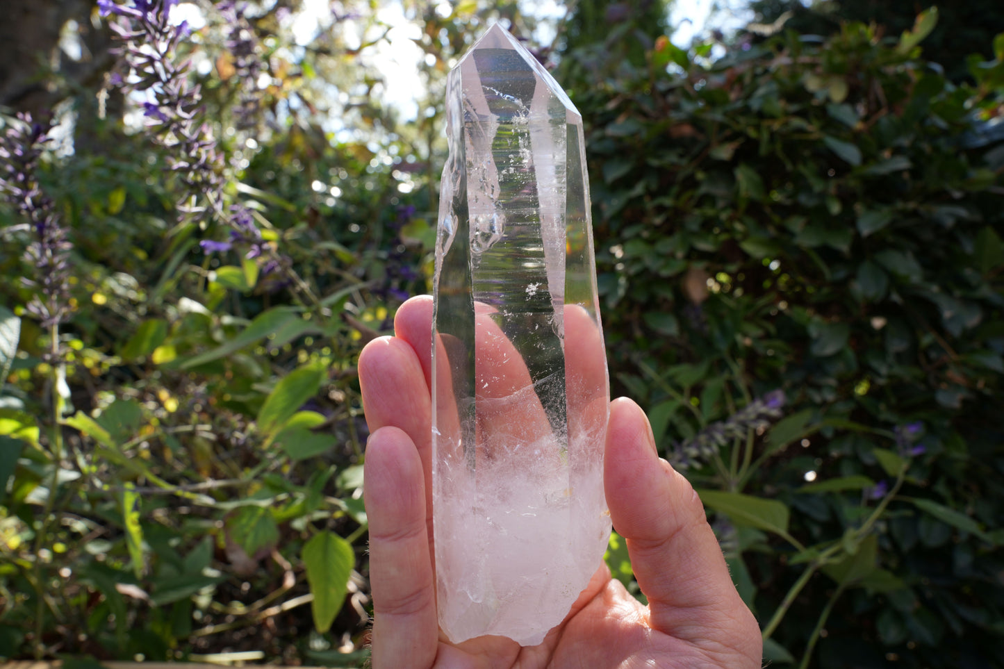 High Grade Star Seed Lemurian Wands | Reiki Infused