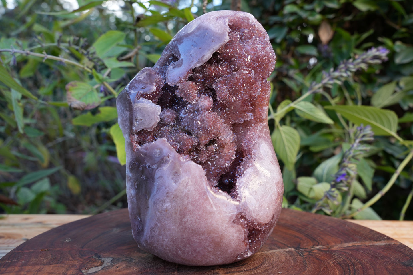 AAA Large Grade Druzy Pink Amethyst Freeform | Reiki Infused