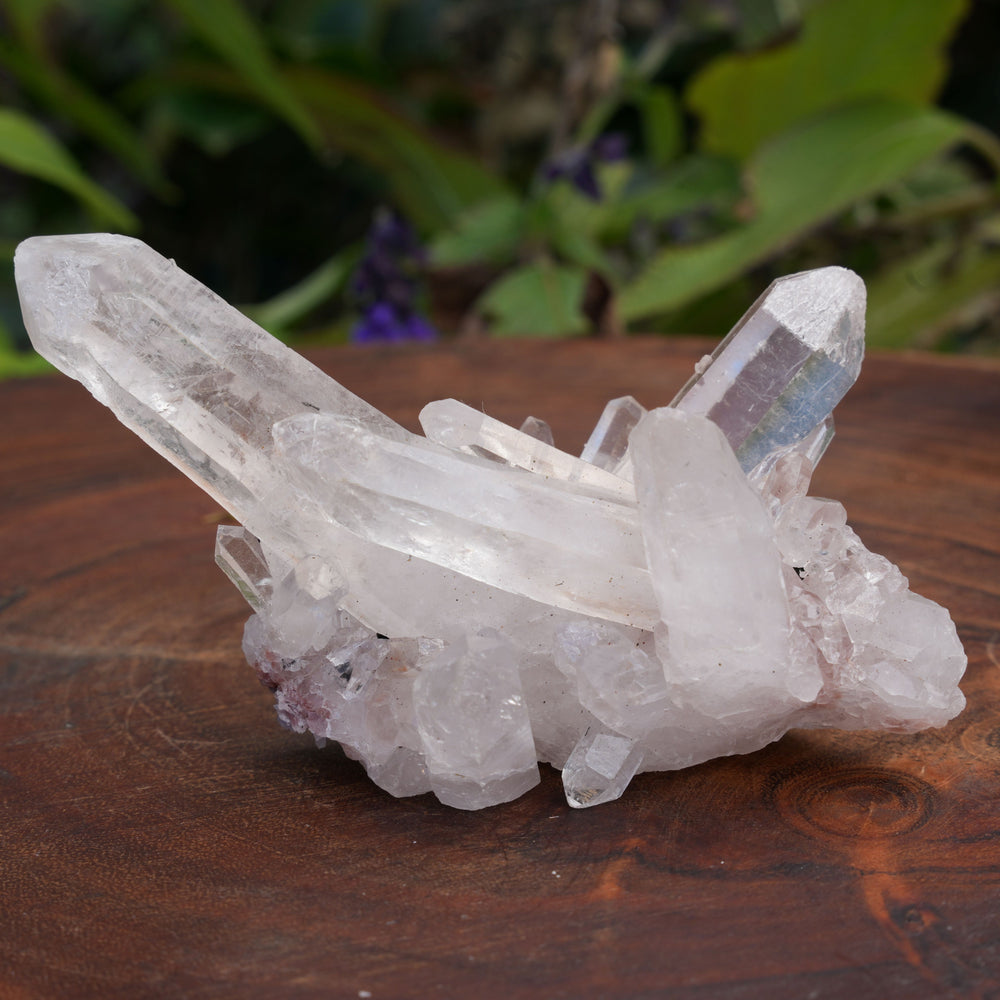 Quarts Clusters | Reiki Infused