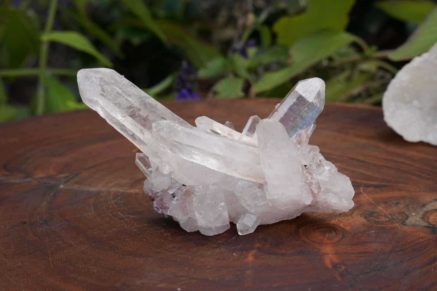 Quarts Clusters | Reiki Infused