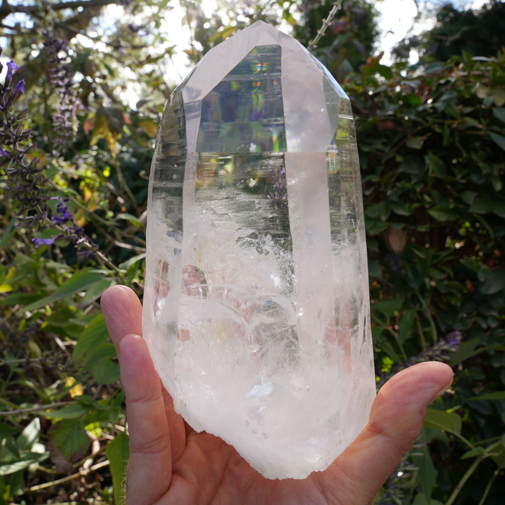 AAA Grade Large Lemurian Star Seed Quartz on Rotating Stand | Reiki Infused