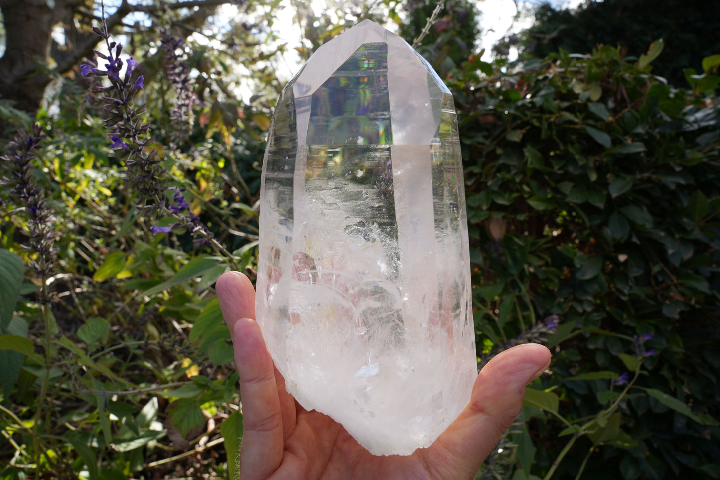 AAA Grade Large Lemurian Star Seed Quartz on Rotating Stand | Reiki Infused