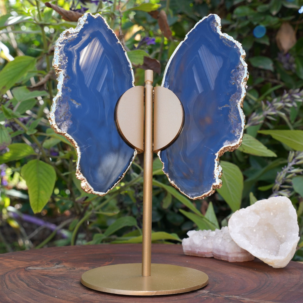 Black Agate Butterfly on Stand | Reiki Infused