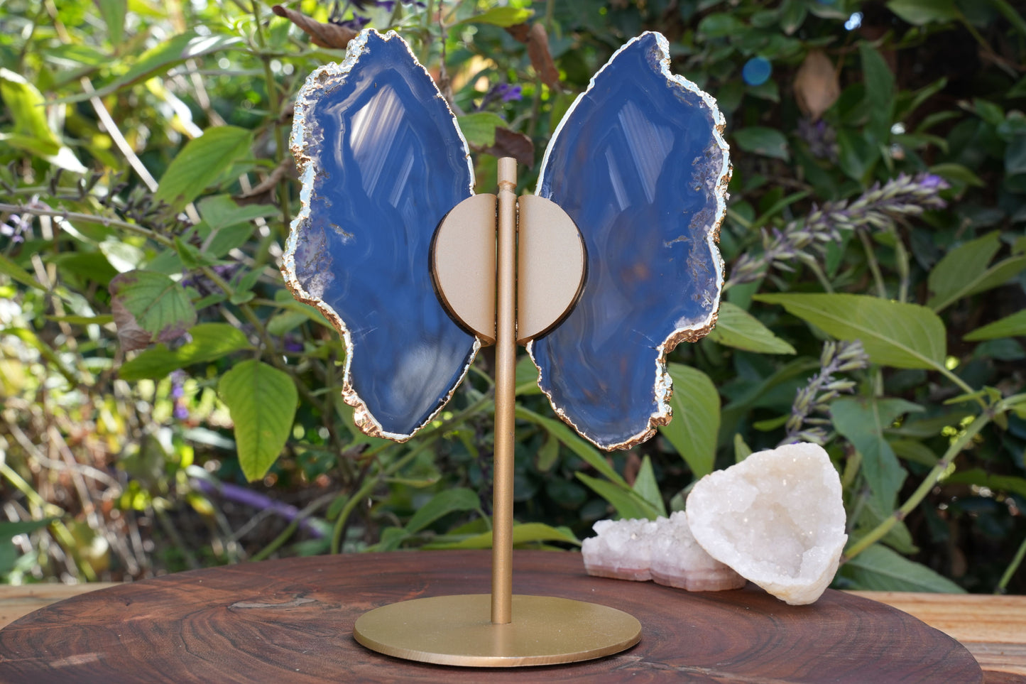 Black Agate Butterfly on Stand | Reiki Infused