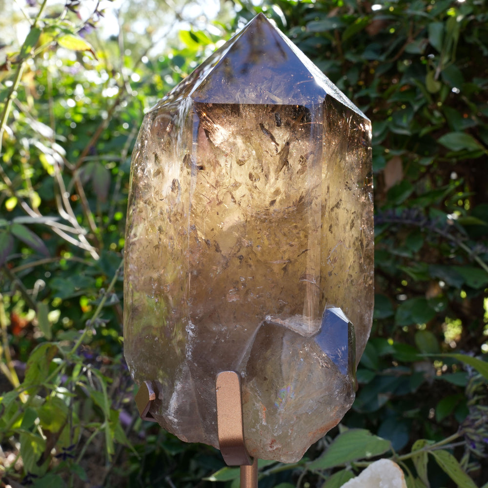 Giant Smoky Natural Citrine Generator | On Rose Gold Stand | Reiki Infused