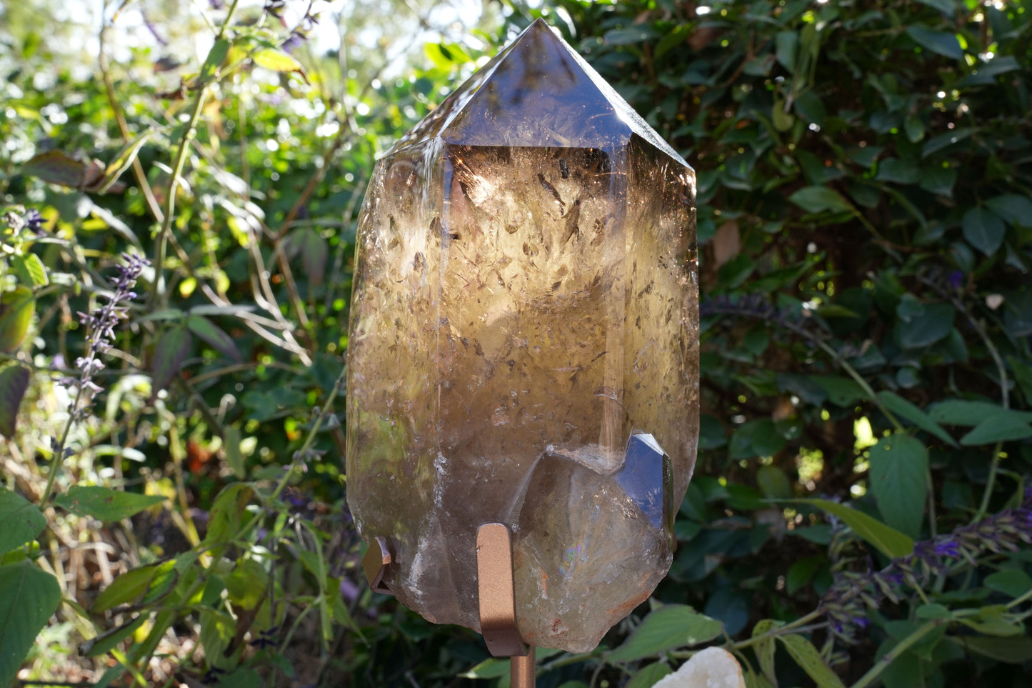 Giant Smoky Natural Citrine Generator | On Rose Gold Stand | Reiki Infused