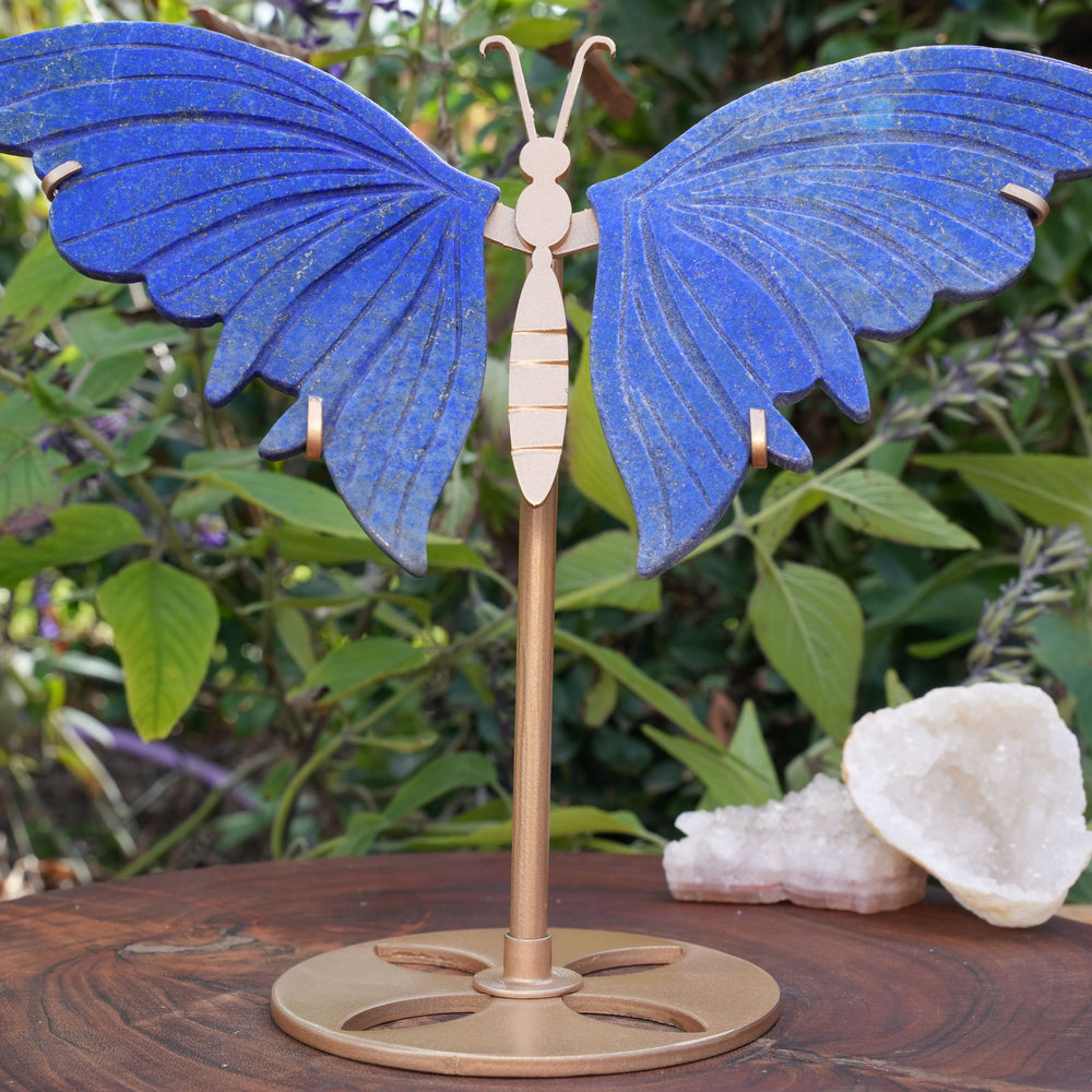 Lapis Lazuli Butterfly on Stand | High Grade|  Reiki Infused