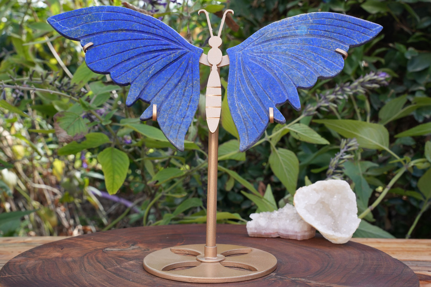 Lapis Lazuli Butterfly on Stand | High Grade|  Reiki Infused