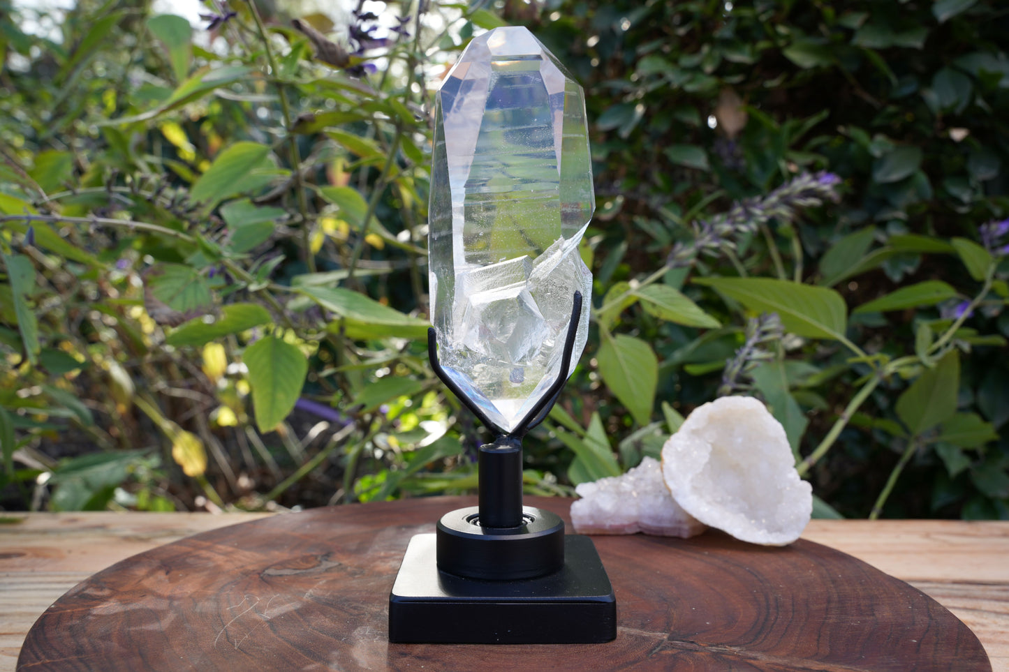 AAA Grade Lemurian Star Seed Quartz on Rotating Stand | Reiki Infused