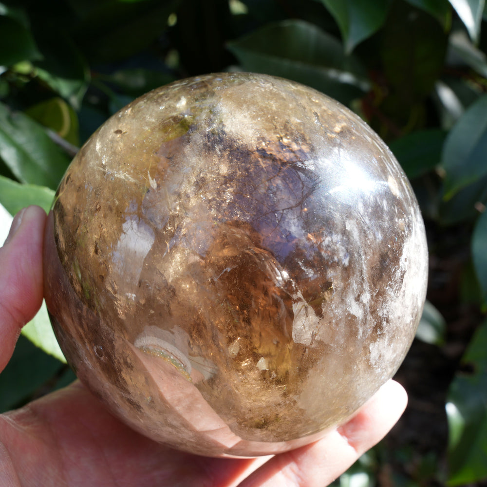 
                  
                    Large Smoky Quartz Sphere on Wooden Holder | Reiki Infused
                  
                