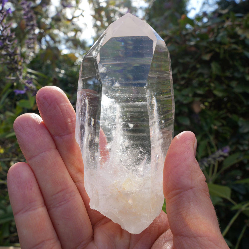 AA+ Grade Star Seed Lemurian Wands | Reiki Infused
