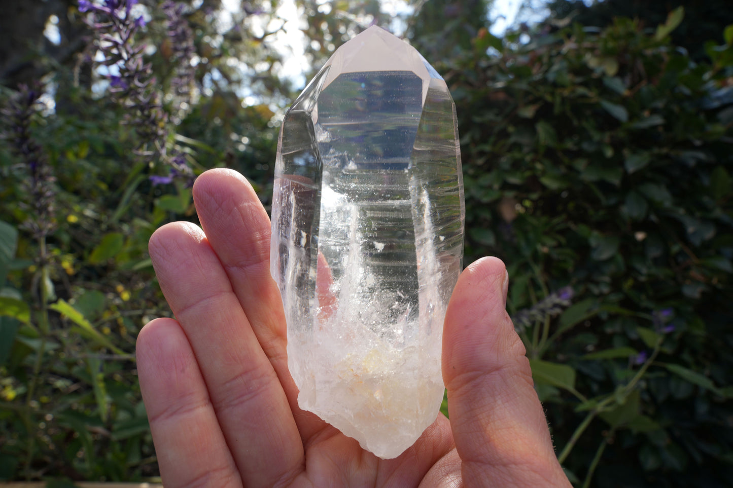 AA+ Grade Star Seed Lemurian Wands | Reiki Infused