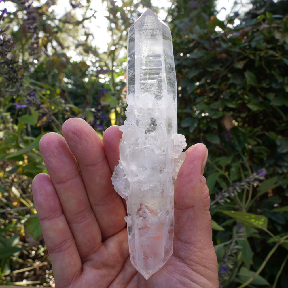 
                  
                    Rare Lemurian, Albite & Black Tourmaline Rutile Wand | Reiki Infused
                  
                
