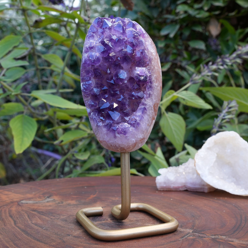 High Quality Amethyst Cluster on Stand | Reiki Infused