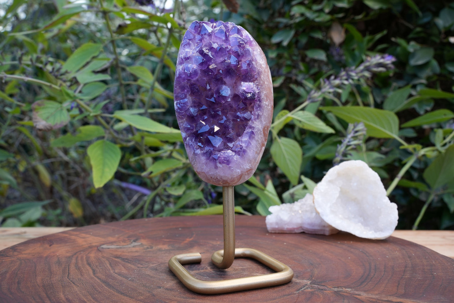 High Quality Amethyst Cluster on Stand | Reiki Infused