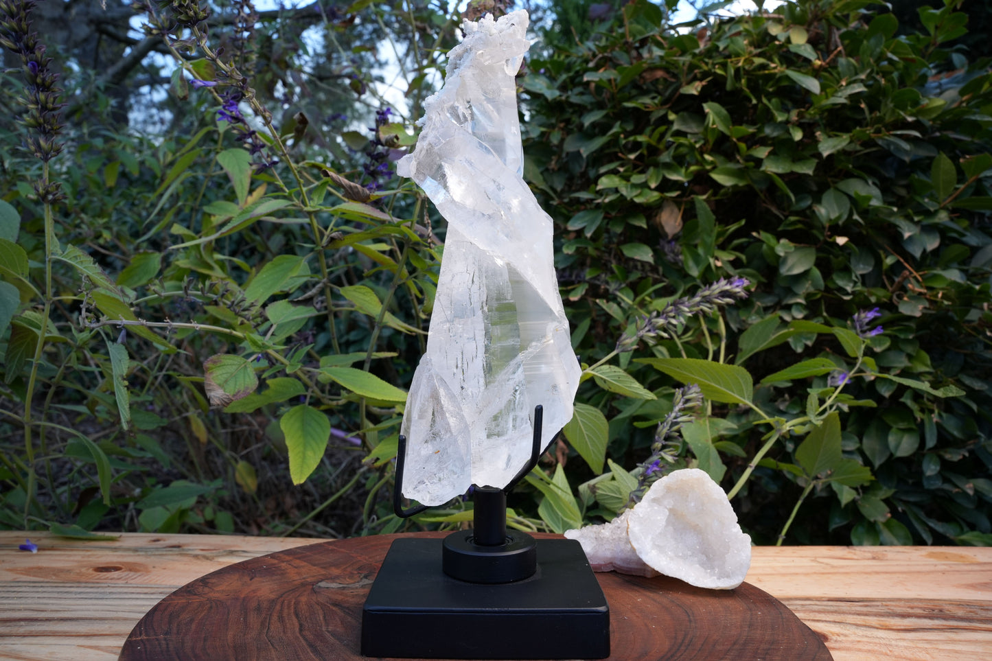 Unique Lemurian with Albite & Black Tourmaline Rutile's On Rotating Stand | Reiki Infused