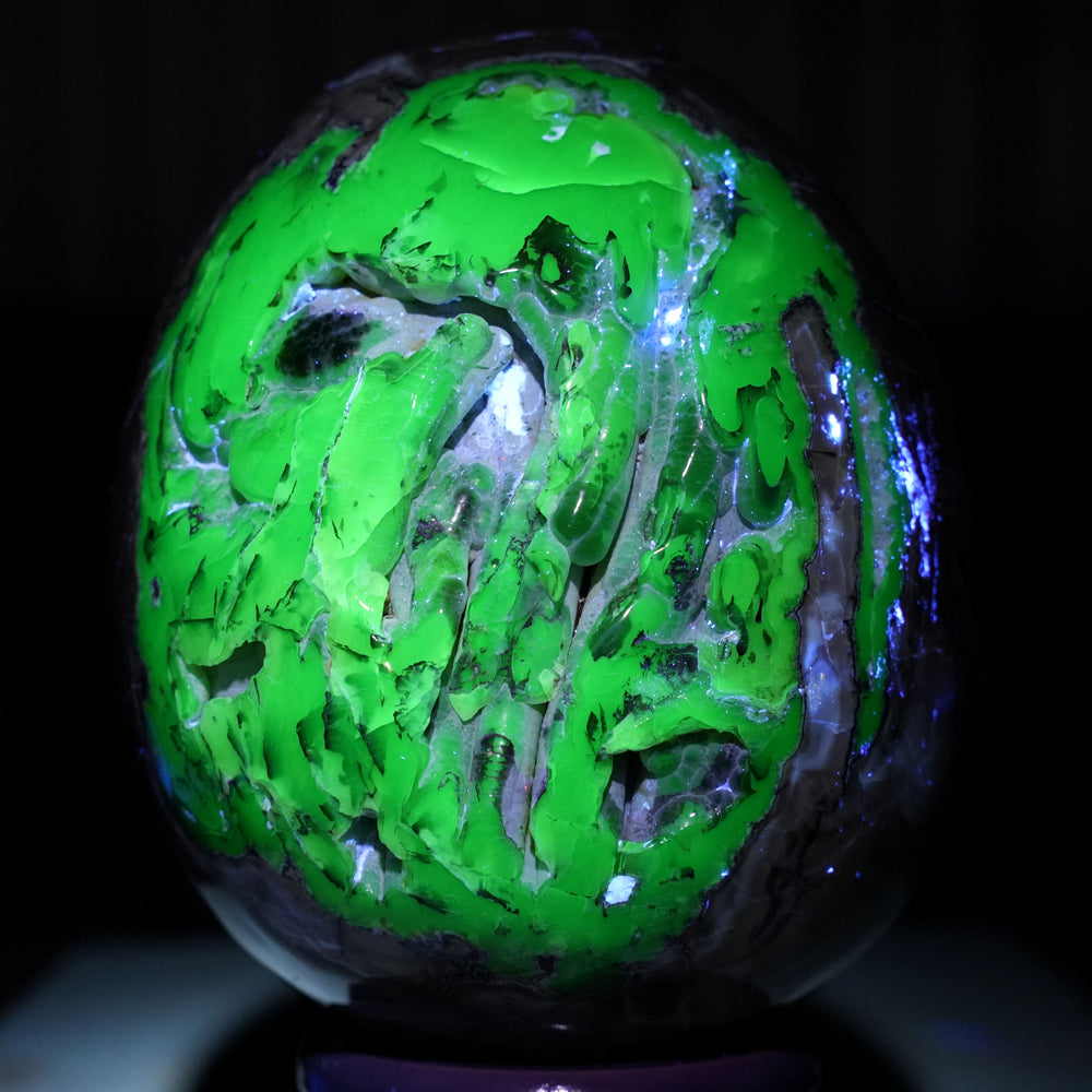 UV Reactive Volcanic Agate Egg on Wooden Stand | Reiki Infused