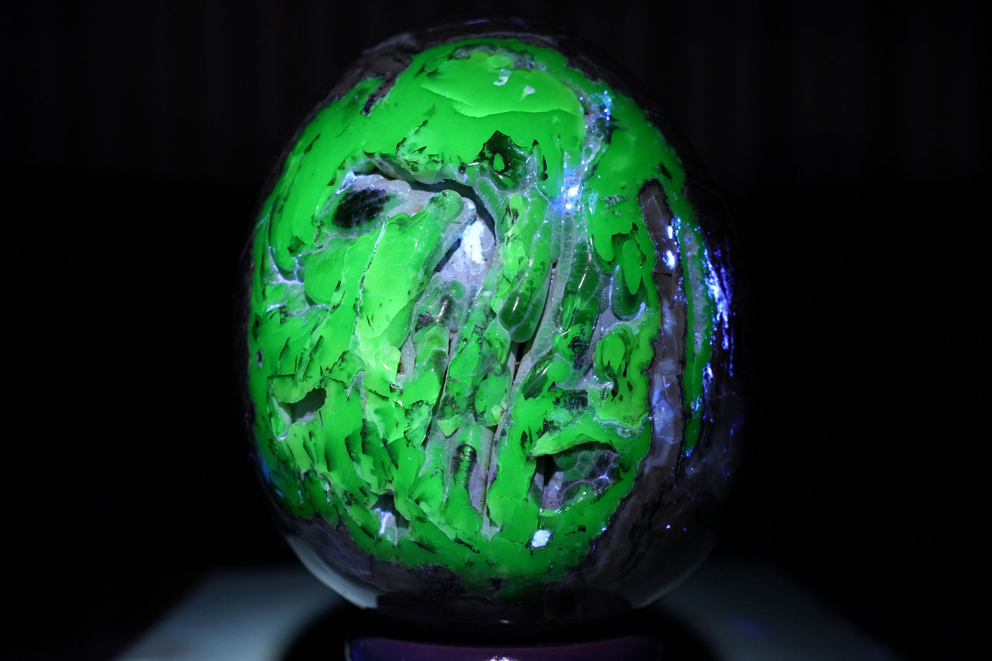 UV Reactive Volcanic Agate Egg on Wooden Stand | Reiki Infused