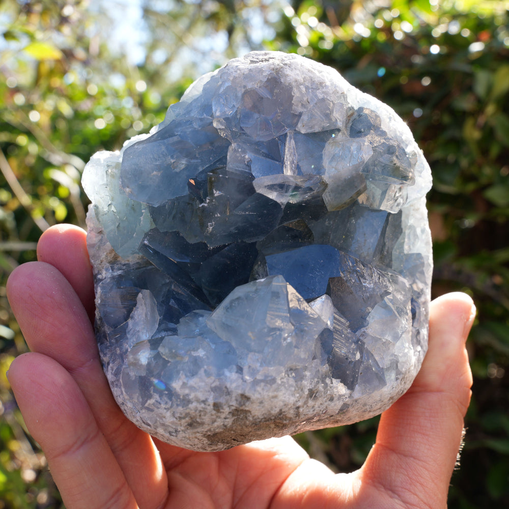 High Quality Celestite Clusters | Reiki Infused