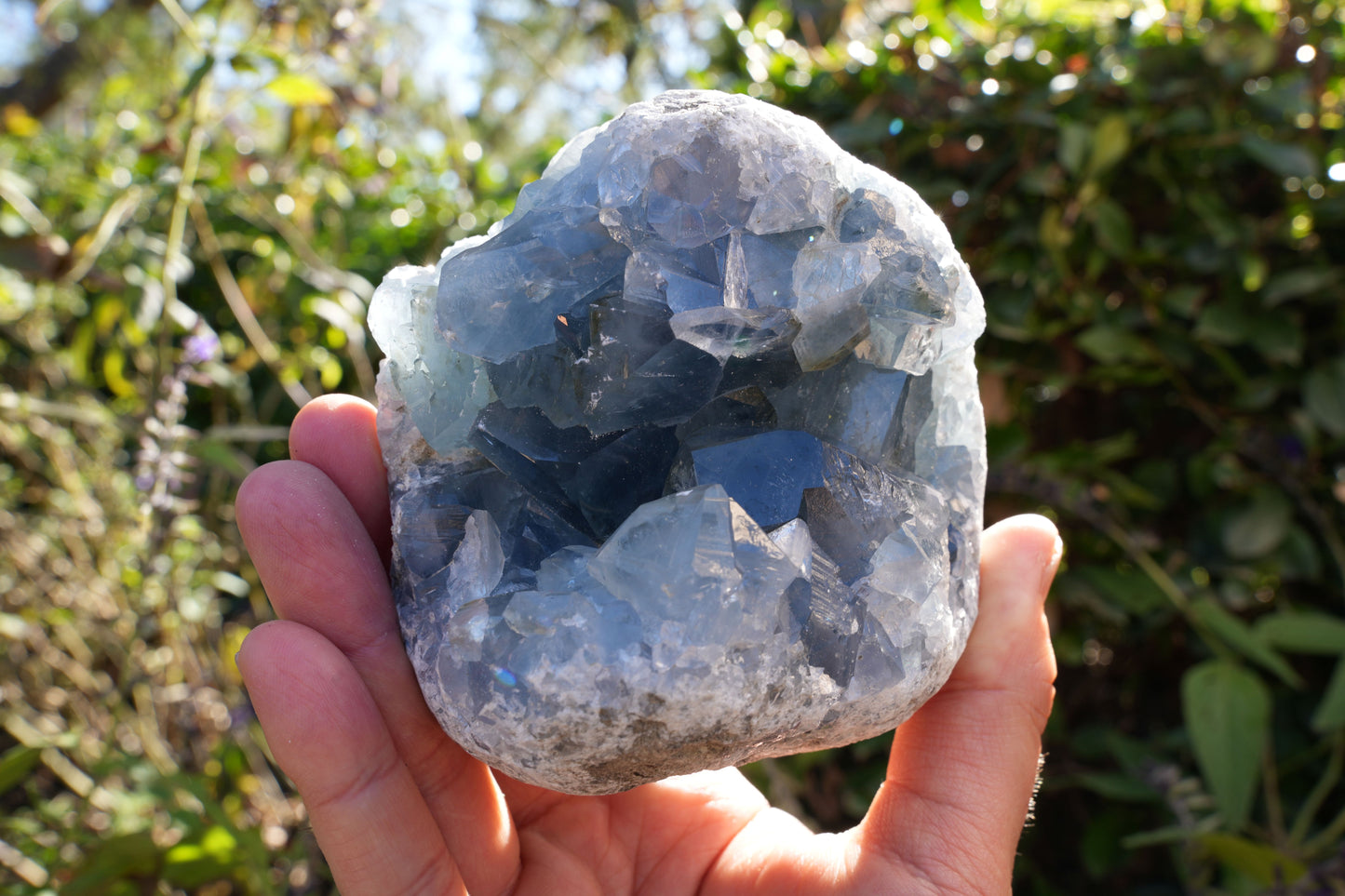 High Quality Celestite Clusters | Reiki Infused