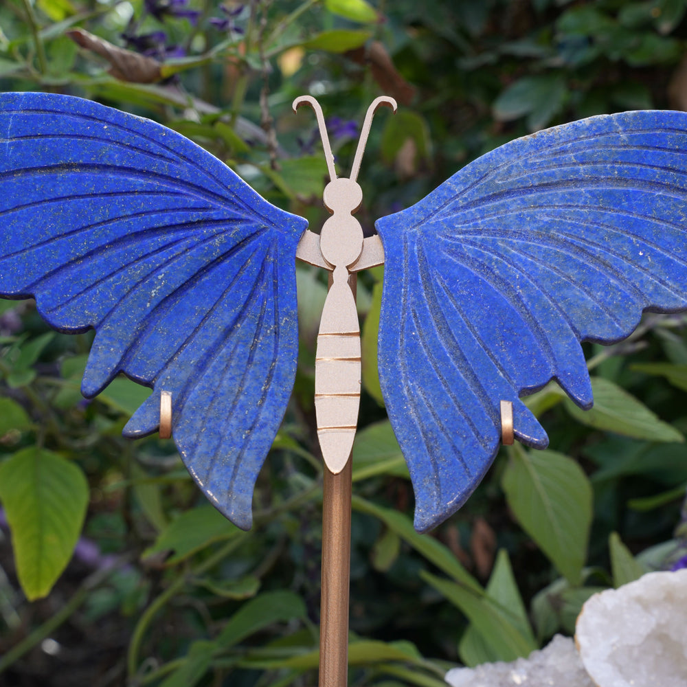 Lapis Lazuli Butterfly on Stand | High Grade|  Reiki Infused