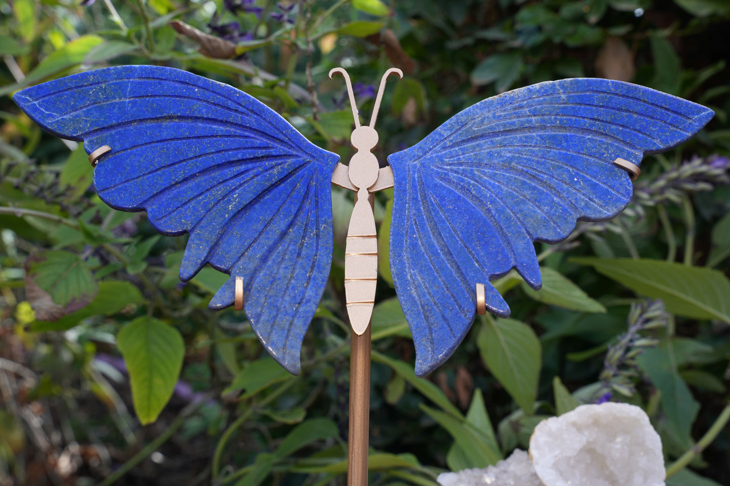 Lapis Lazuli Butterfly on Stand | High Grade|  Reiki Infused