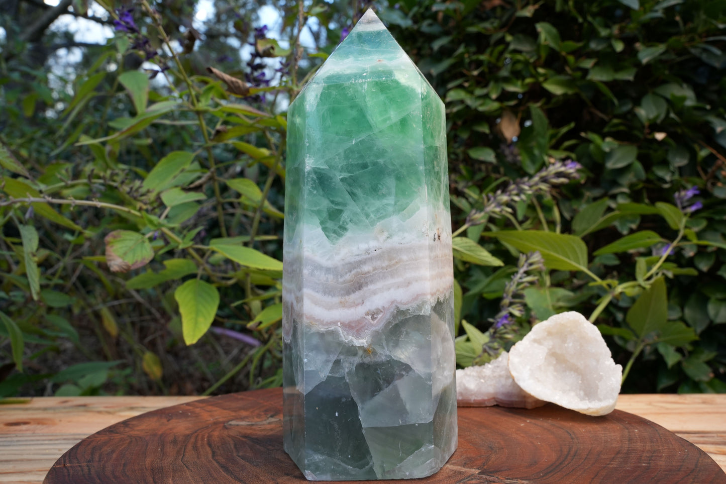 Large & Wide Ocean Fluorite Towers | Reiki Infused