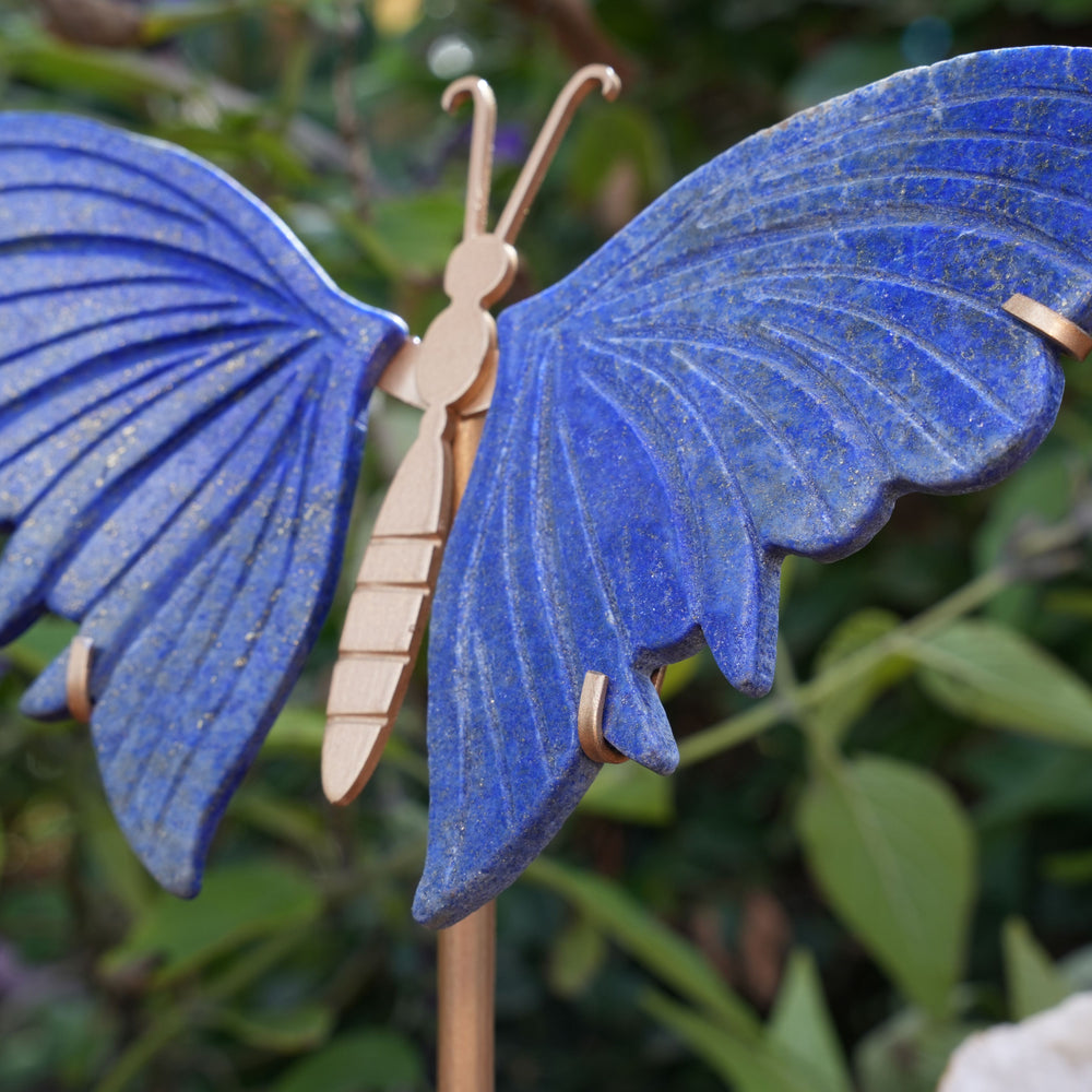 
                  
                    Lapis Lazuli Butterfly on Stand | High Grade|  Reiki Infused
                  
                